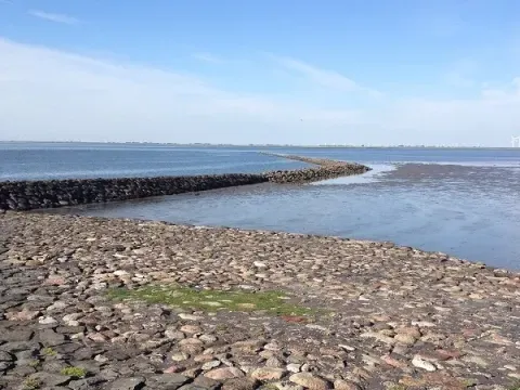 wadden sea